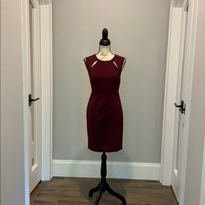 The Limited - Sophie Theallet Cabernet Dress